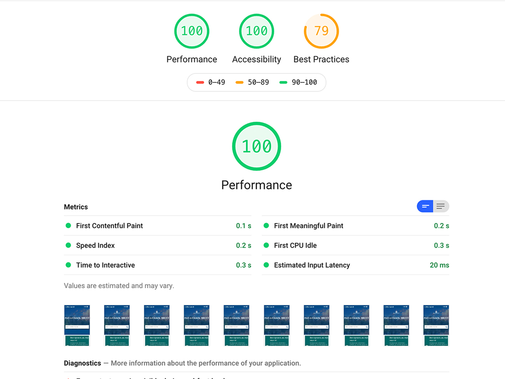 Image presenting the performance of our website in Google Lighthouse